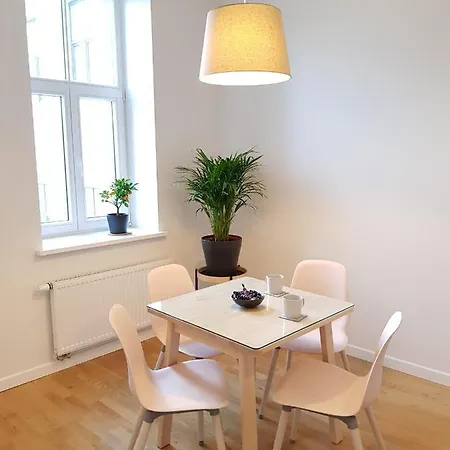 公寓 Heart Of Baron 里加