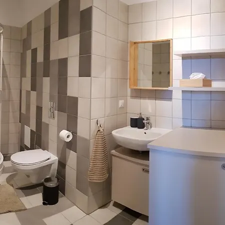 Heart Of Baron 公寓 里加