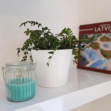 Heart Of Baron * 里加